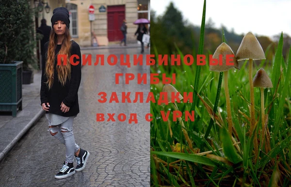 ECSTASY Сясьстрой