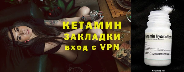 крисы Тайга
