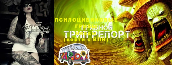 винт Белокуриха