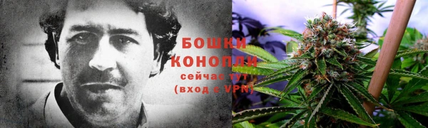 винт Белокуриха