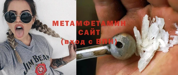 крисы Тайга