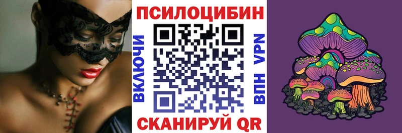 блэк спрут зеркало  Костомукша  Галлюциногенные грибы прущие грибы 